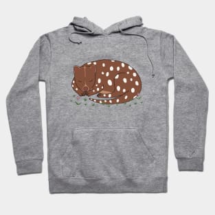 Spotted Quoll Hoodie